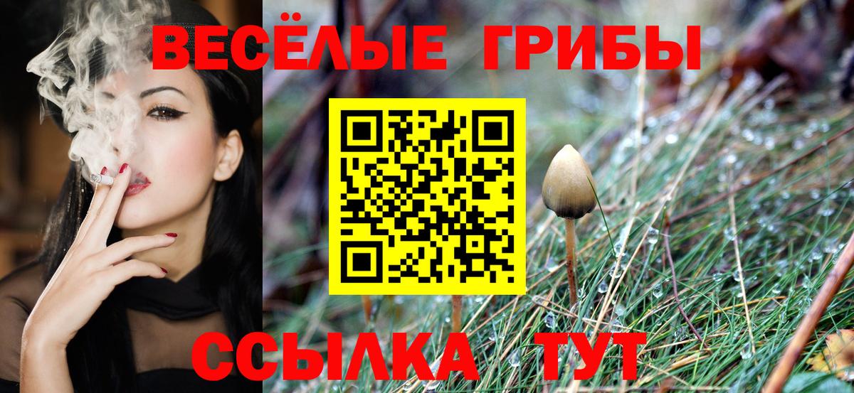 Ирбит  закладки  Вход с VPN  Галлюциногенные грибы Cubensis 