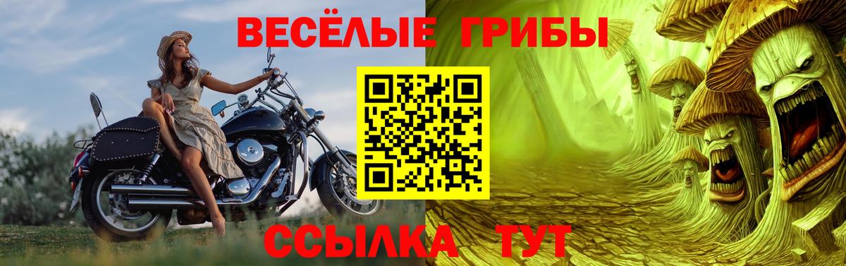 Псилоцибиновые грибы Psilocybine cubensis Ирбит